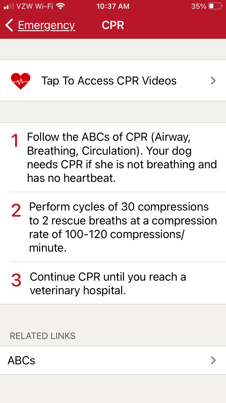 CPR instructions in Pet First Aid app