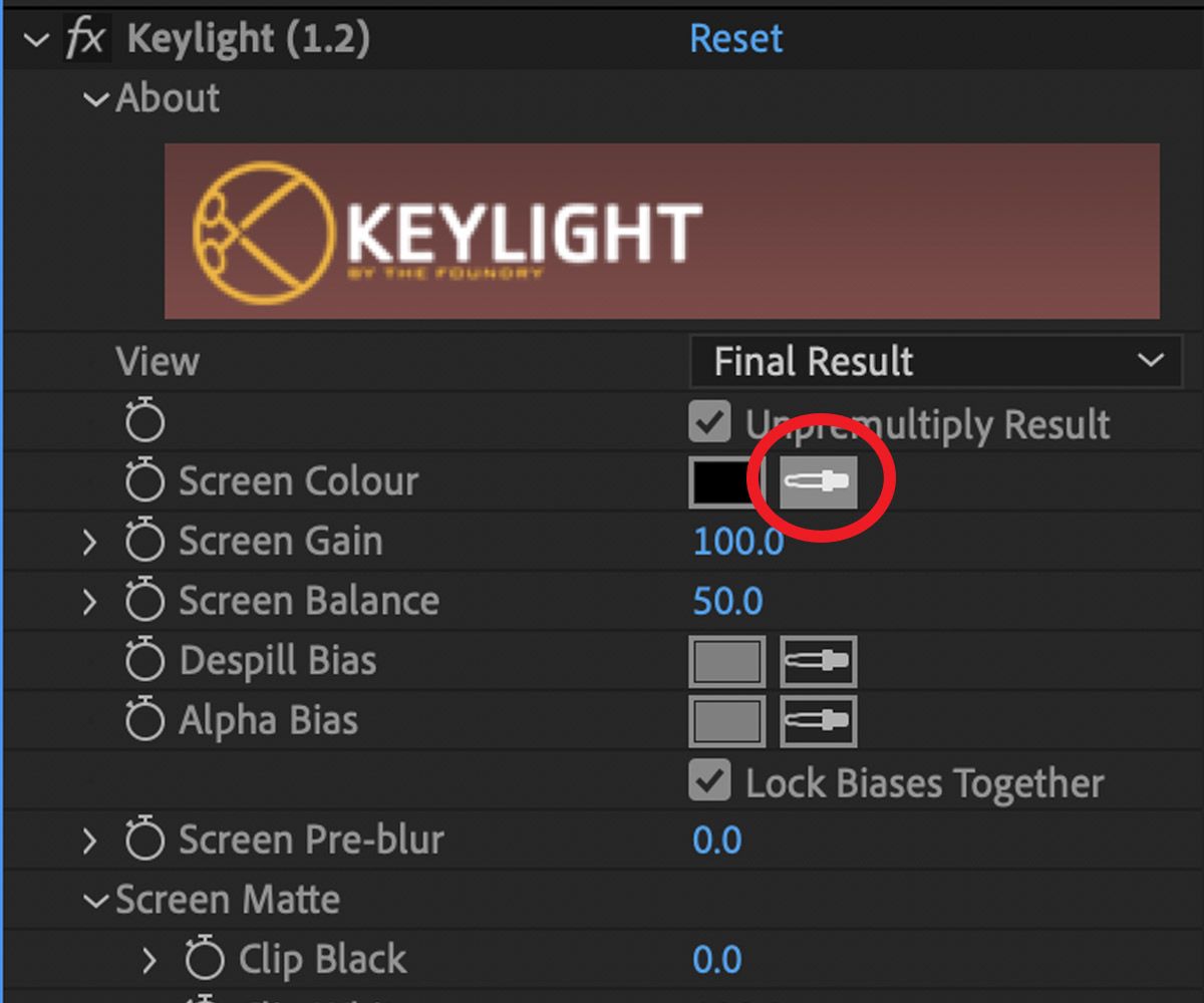is keylight 1.2 only available in after effects