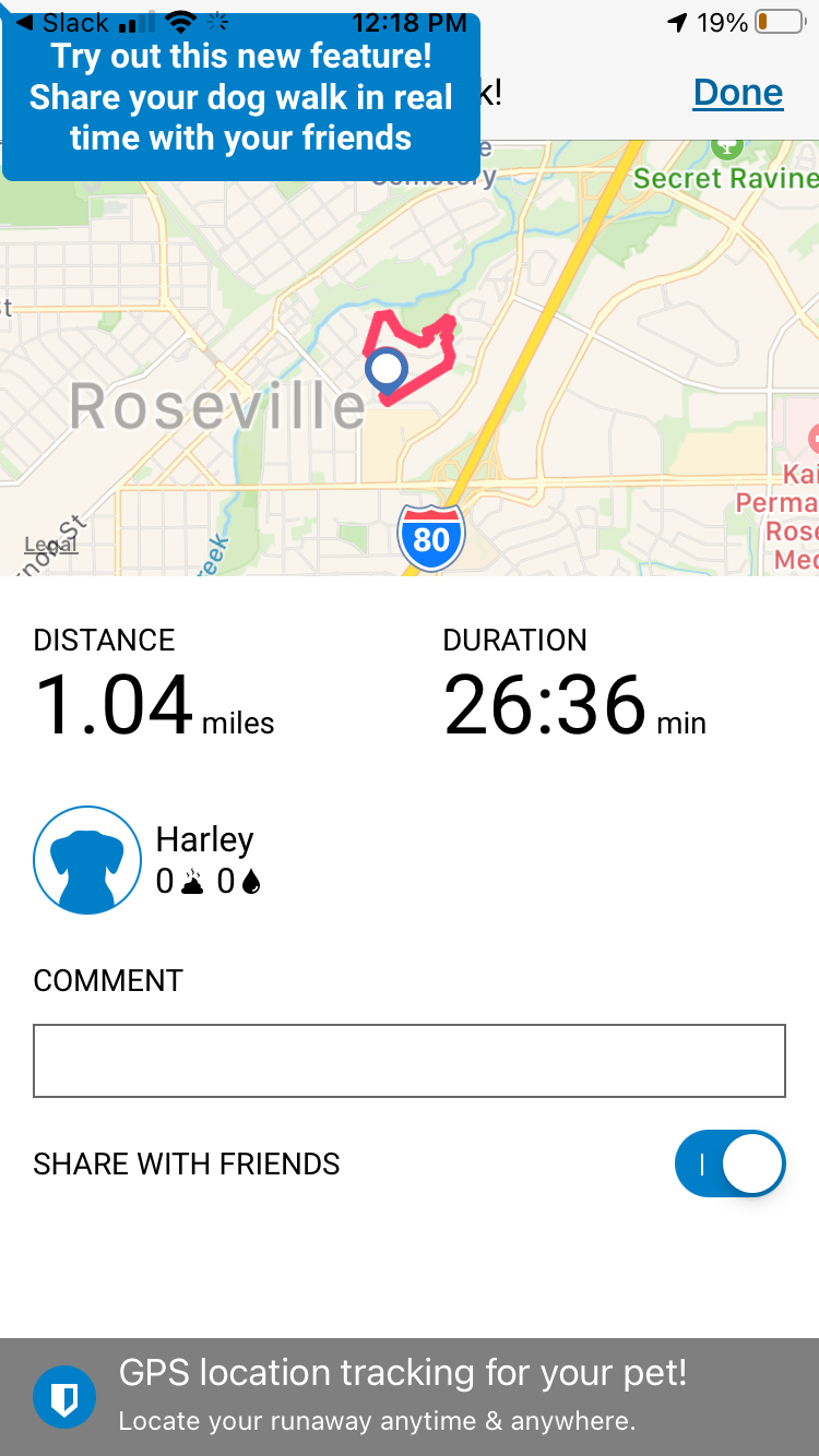 Summary screen of walk distance and duration