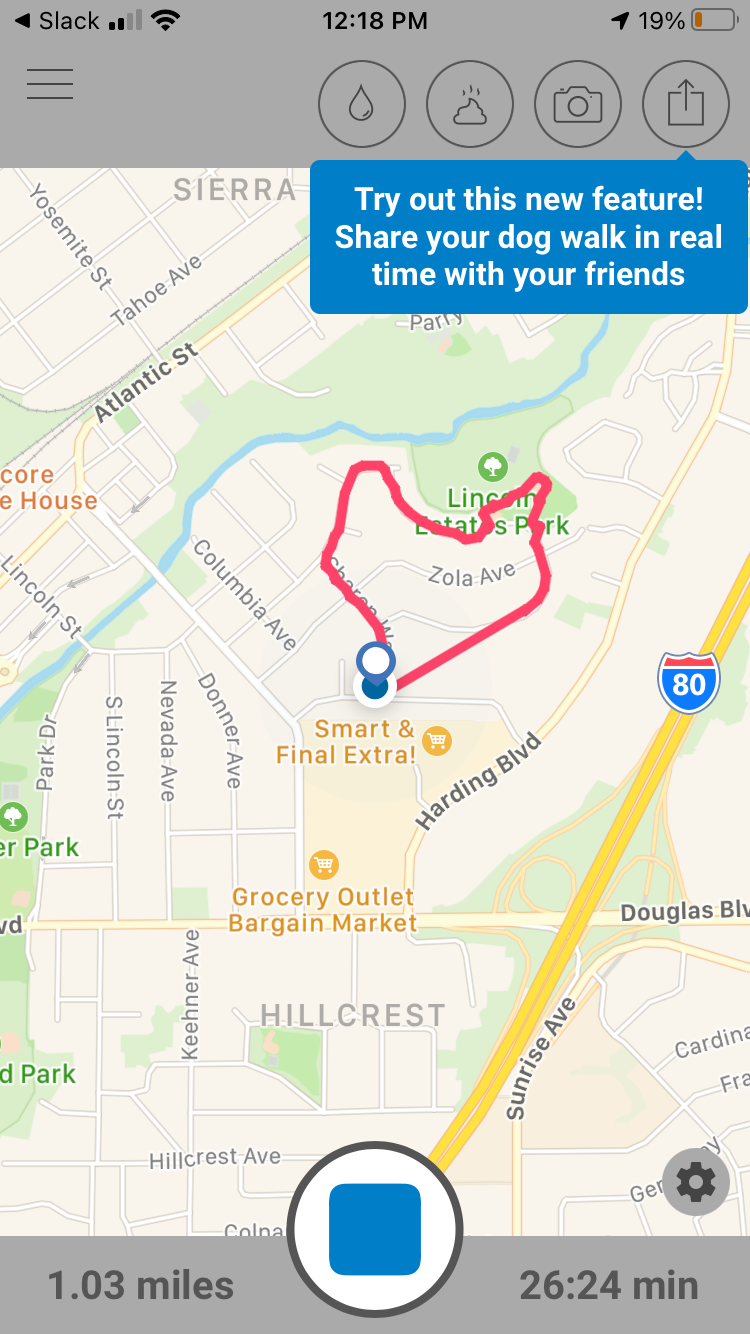 Display of the walk route recorded in Tractive Dog Walk