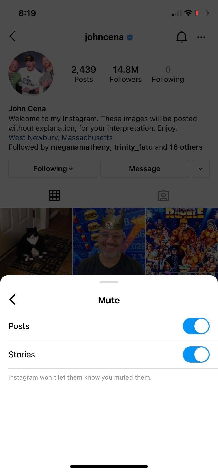 Screenshot of Instagram mute