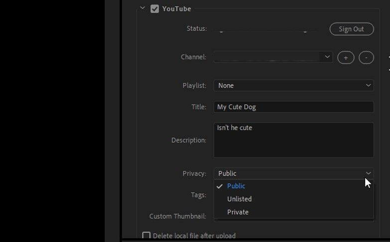 YouTube Media Encoder Options