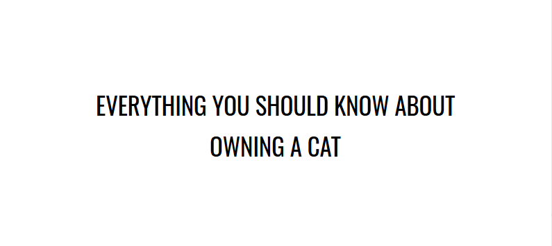 Google Docs sample title "Everything You Should Know About Owning a Cat"