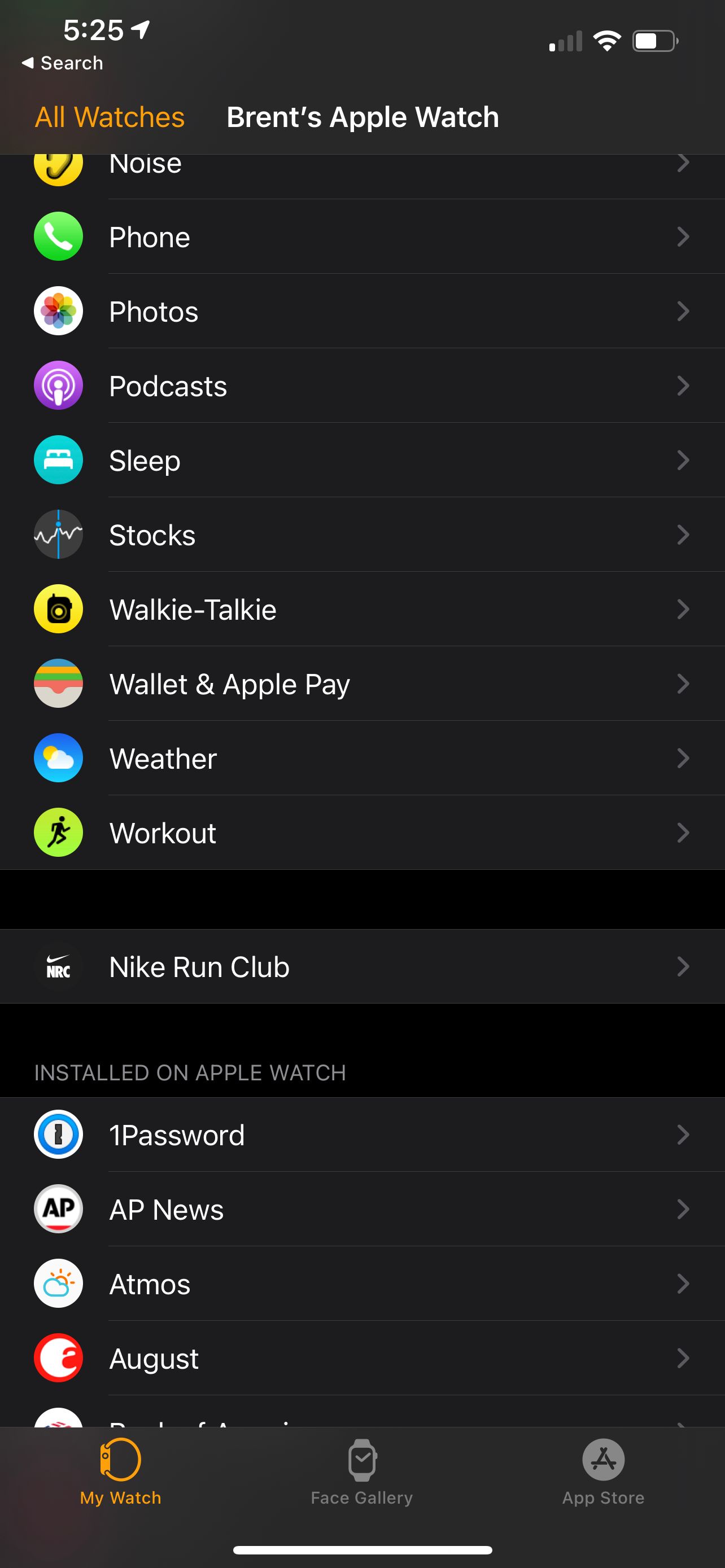 Apple Watch app workout