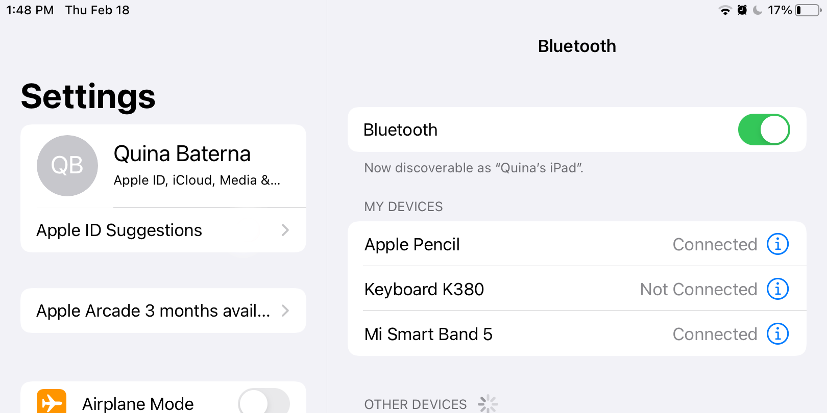 iPad Bluetooth Settings