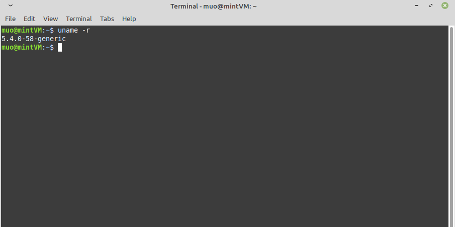 Checking the Linux Kernel in Linux Mint Terminal