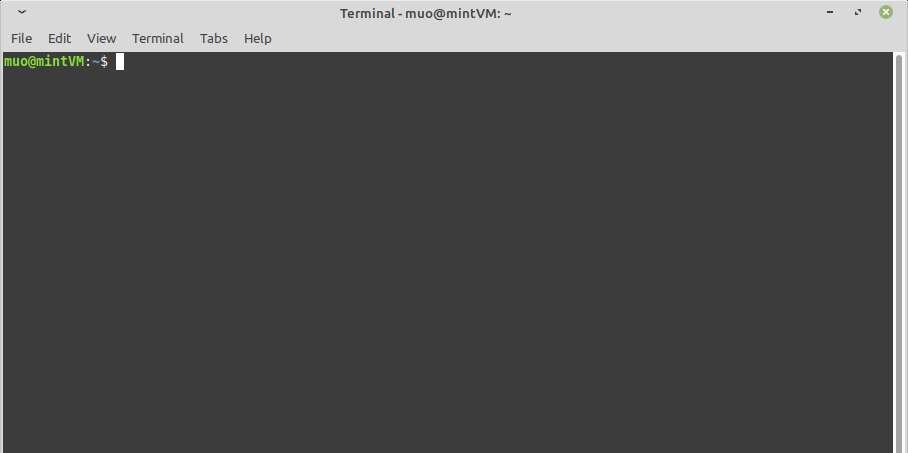 An Open Terminal in Linux Mint