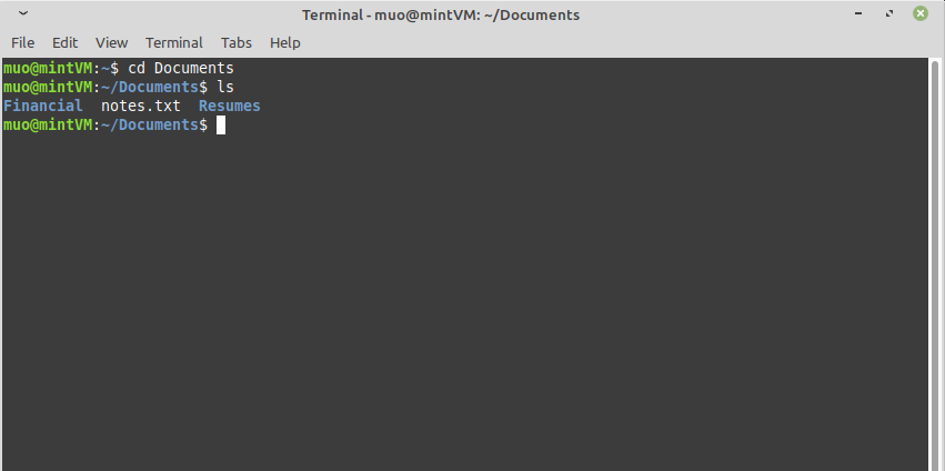 Using the Ls Command in Linux Mint Terminal