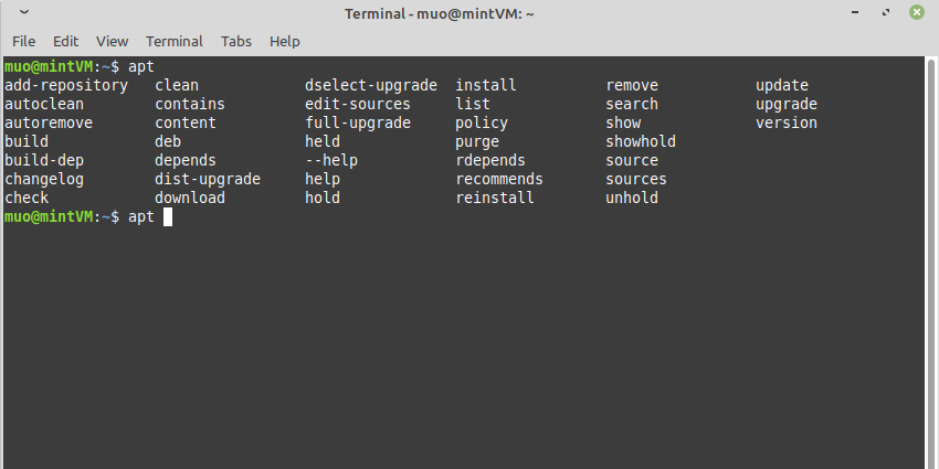 Viewing Command Suggestions in Linux Mint Terminal