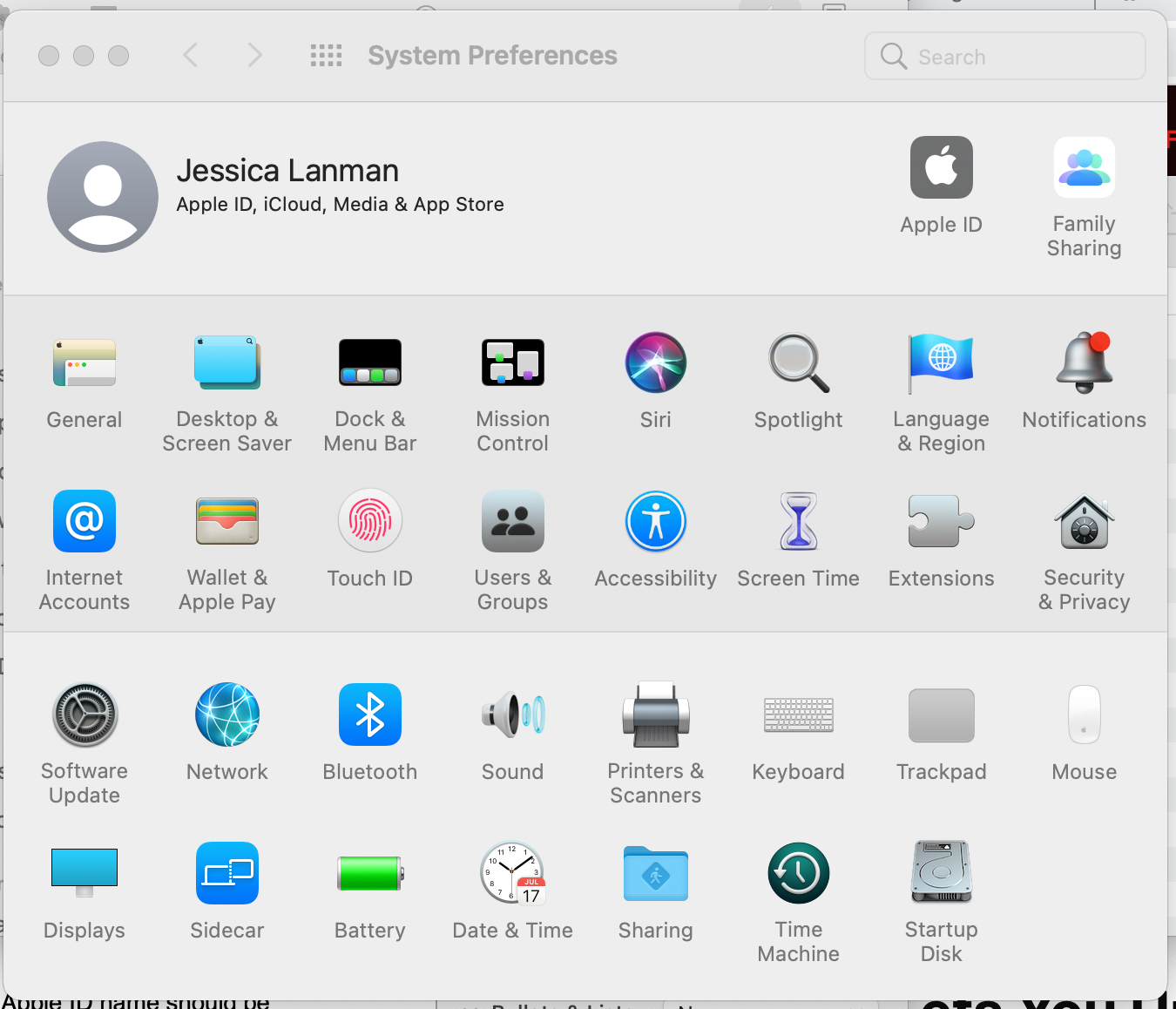 The main System Preferences window on a MacBook Pro