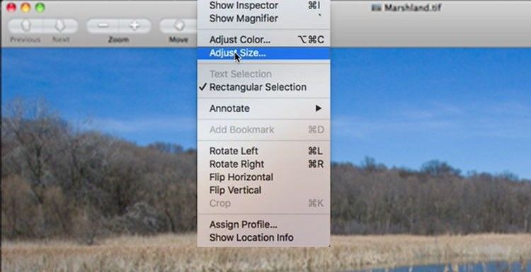 preview macOS resize image