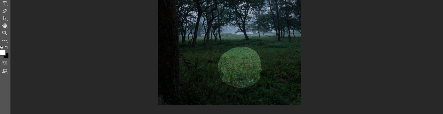 Hard Round Brush in Grass