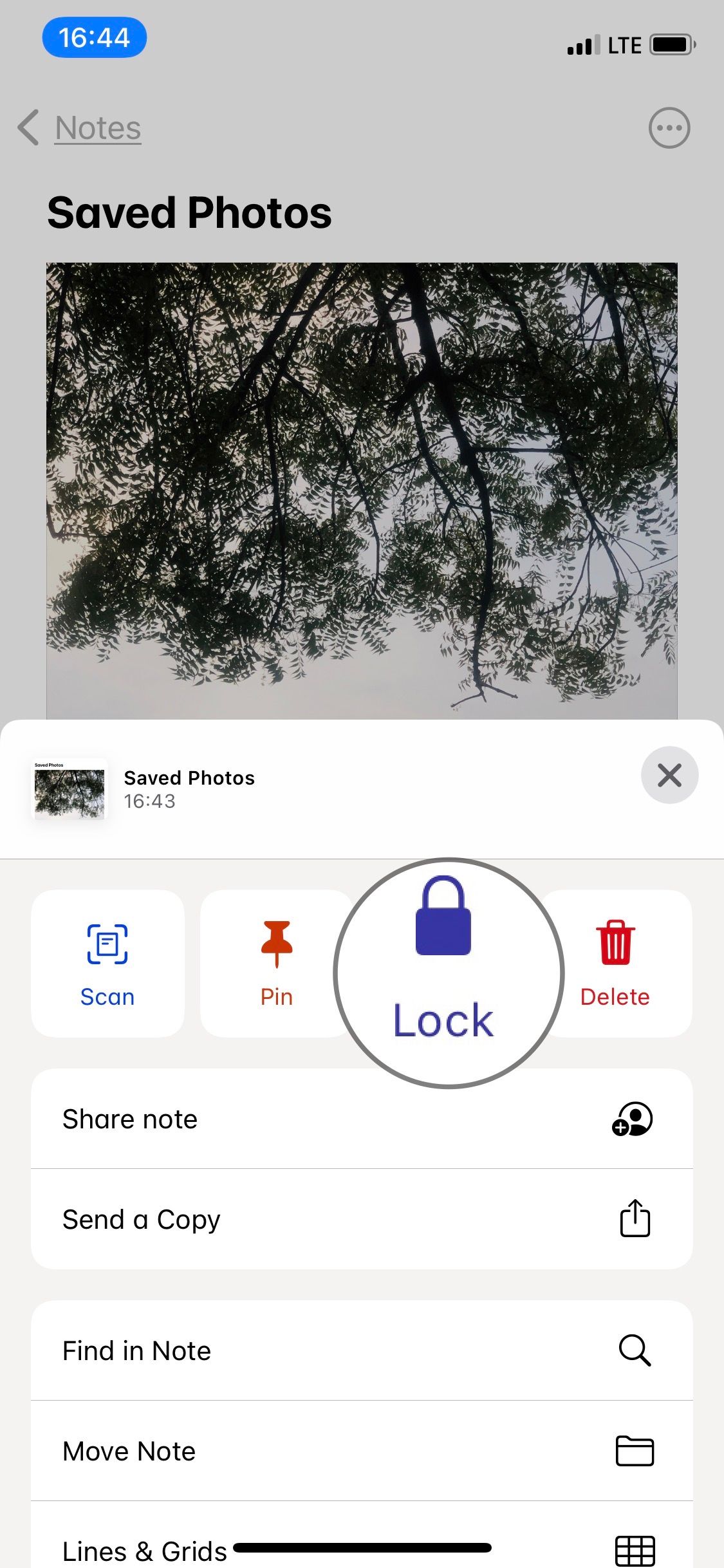 Option to Lock notes in the iphone Notes app.