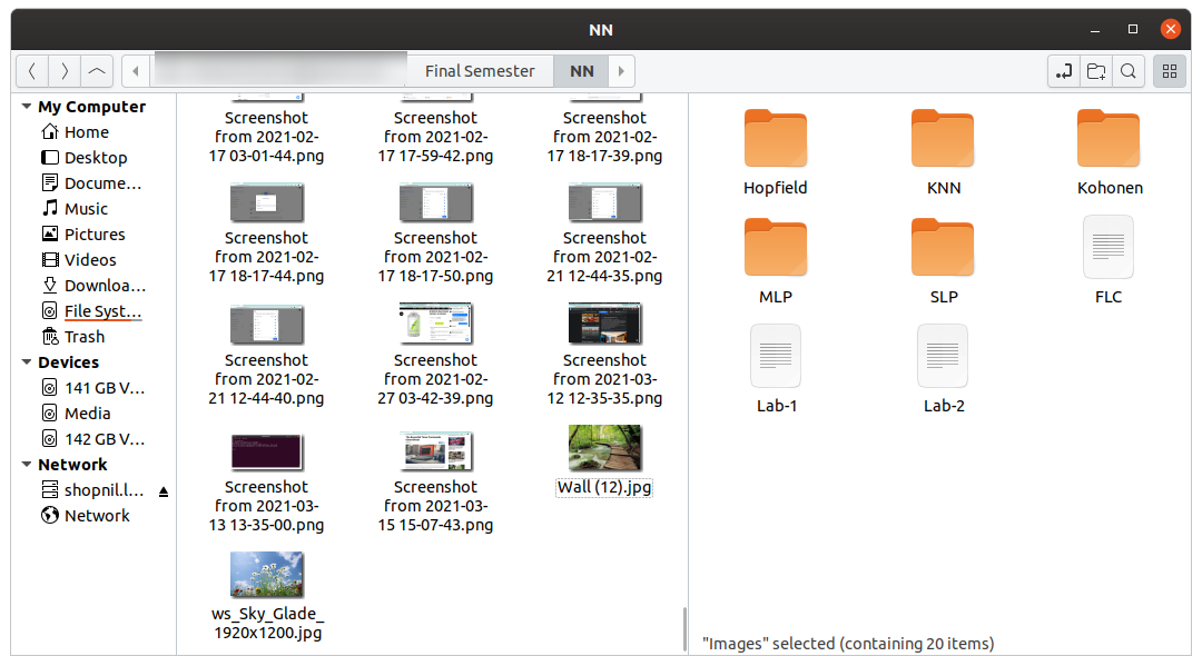 Linux file manager nemo