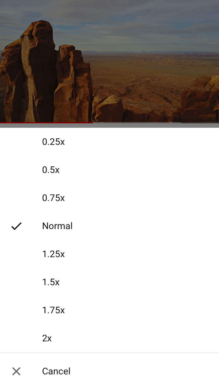 The preset playback speeds on the YouTube app
