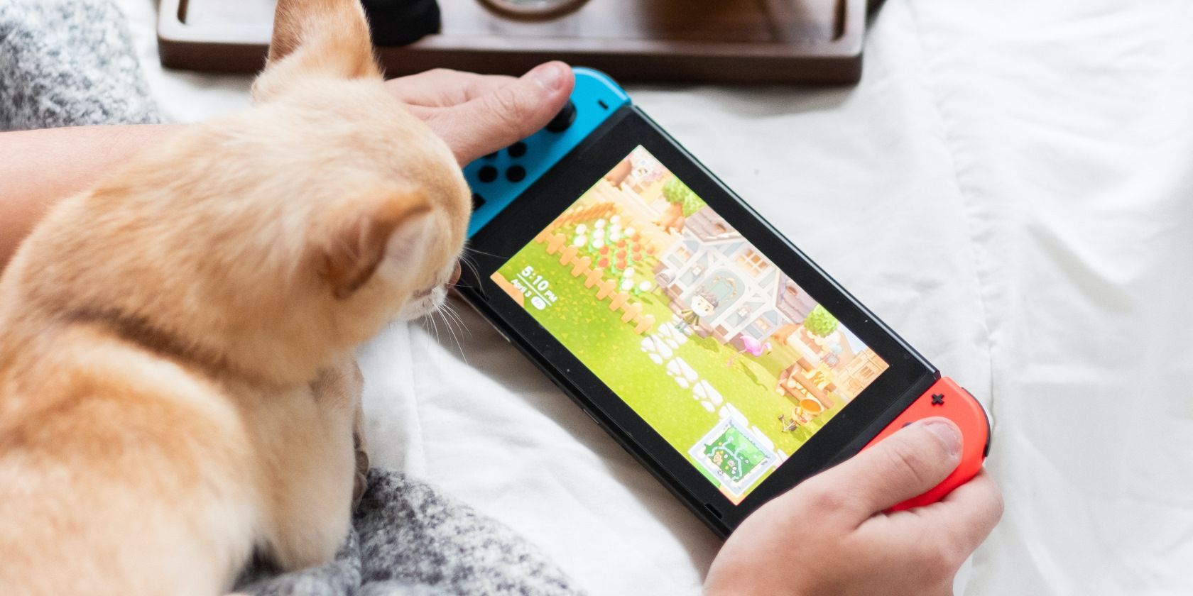 cat and nintendo switch