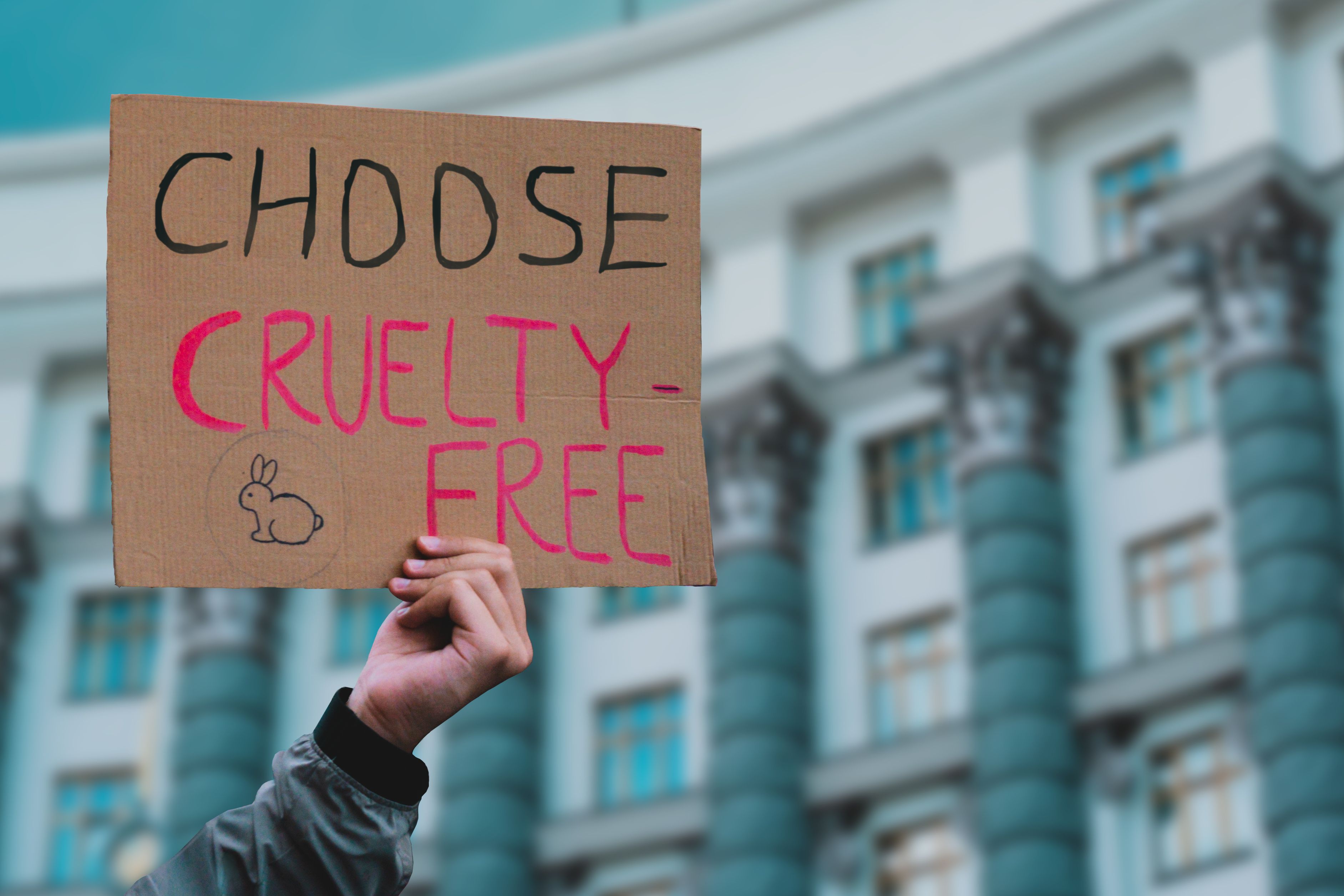 Hand holding a cruelty-free placard