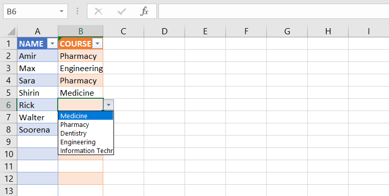You've created a neat list with Data Validation in Excel.