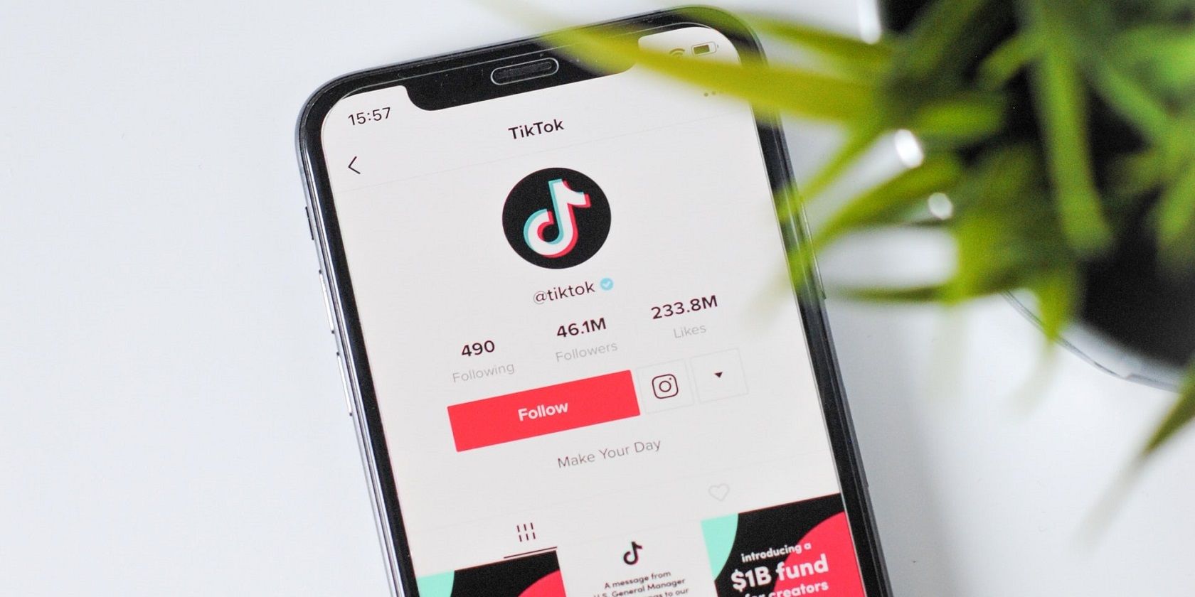 TikTok Profile-How to get verified on TikTok