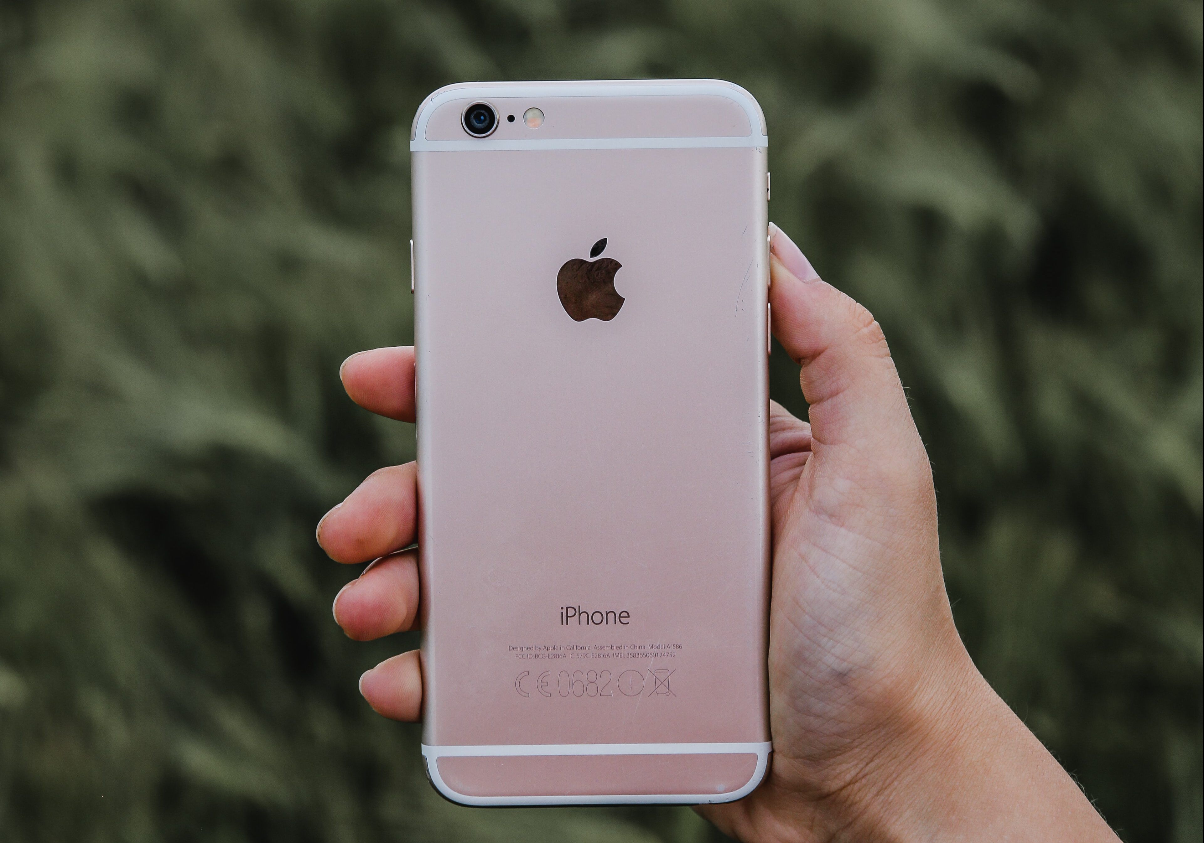 Person holding an iPhone up to show the back of the device.