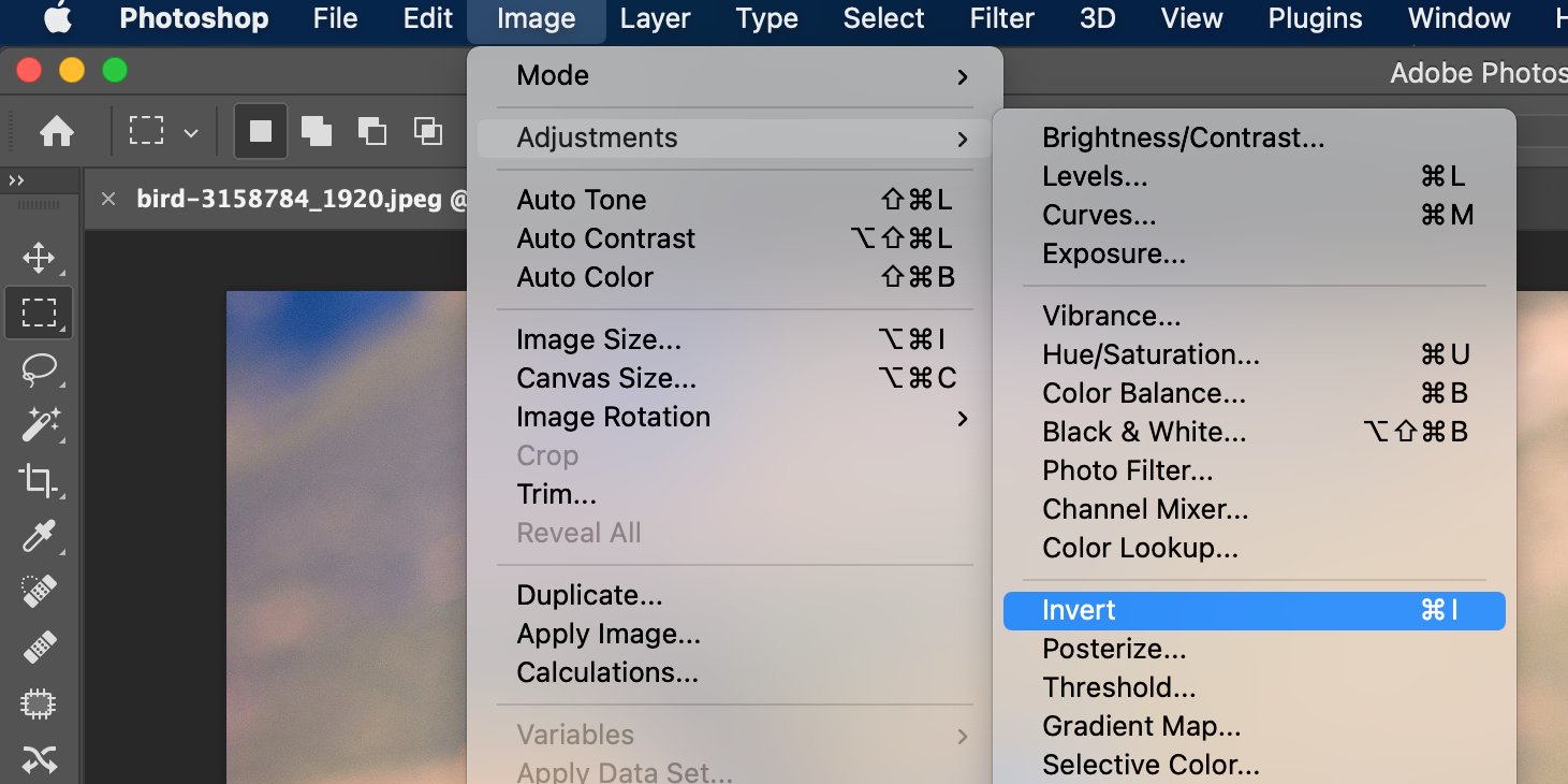 Record the action to invert photo colors