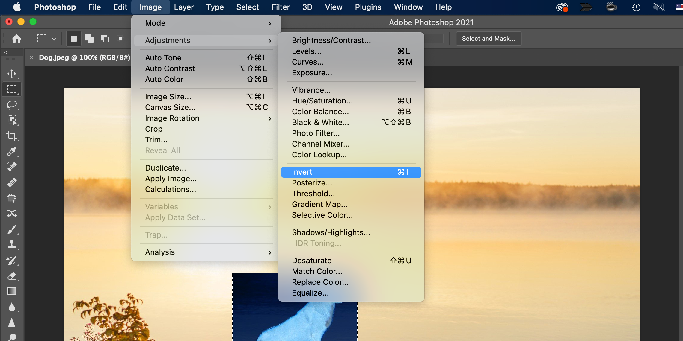 invert the colors of an image in photoshop