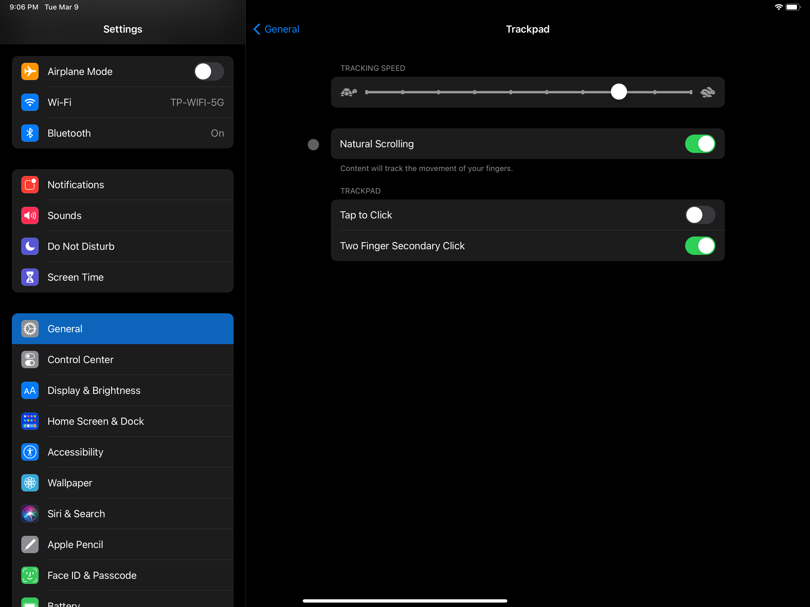 iPad trackpad settings screenshot