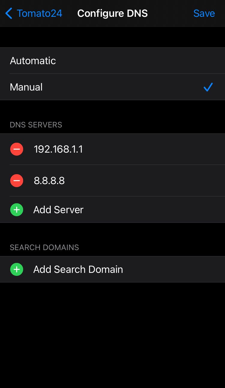 iPhone WiFi DNS Configuration