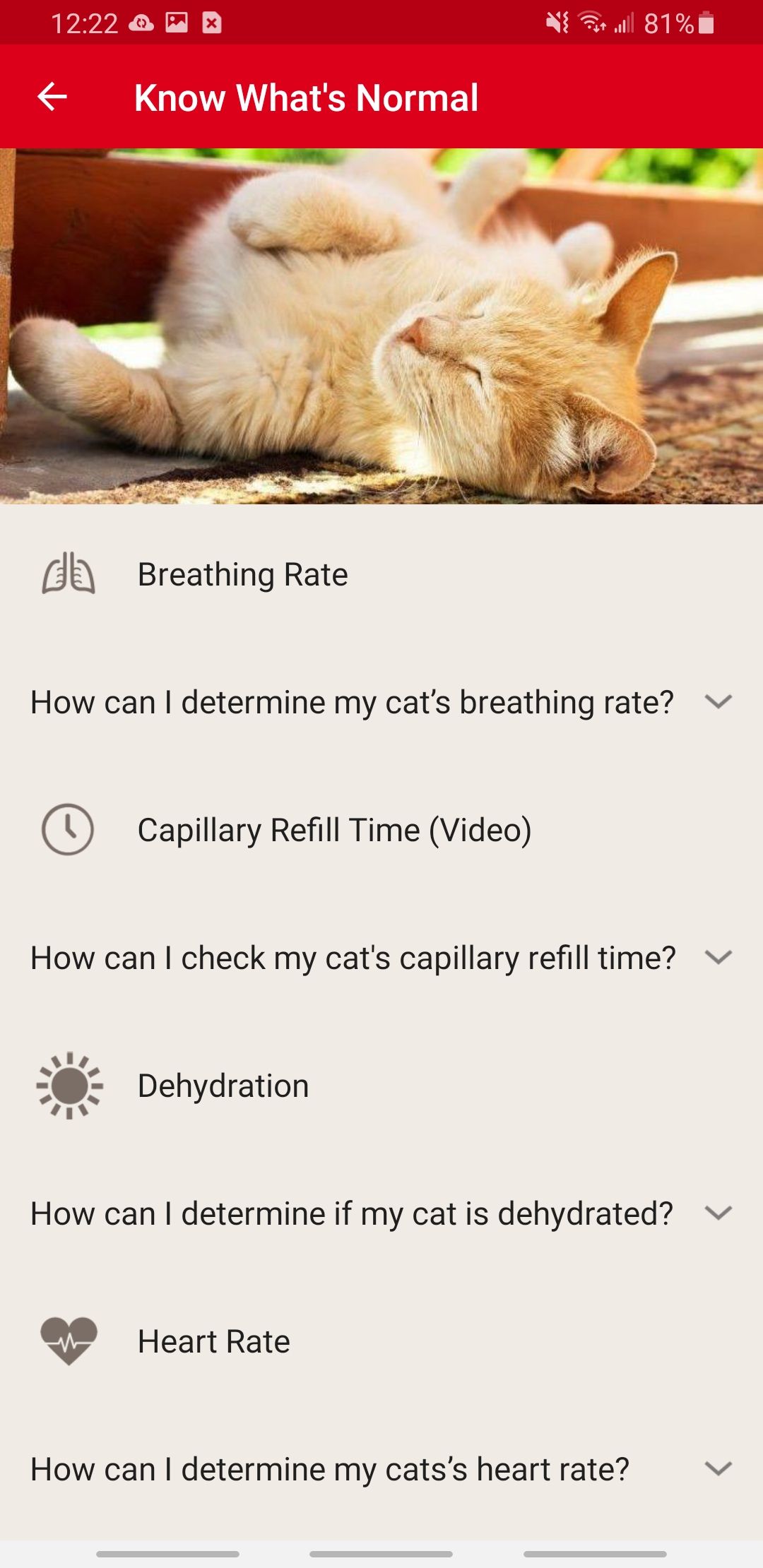 8 Useful Mobile Apps for Cat Owners and Cat Lovers