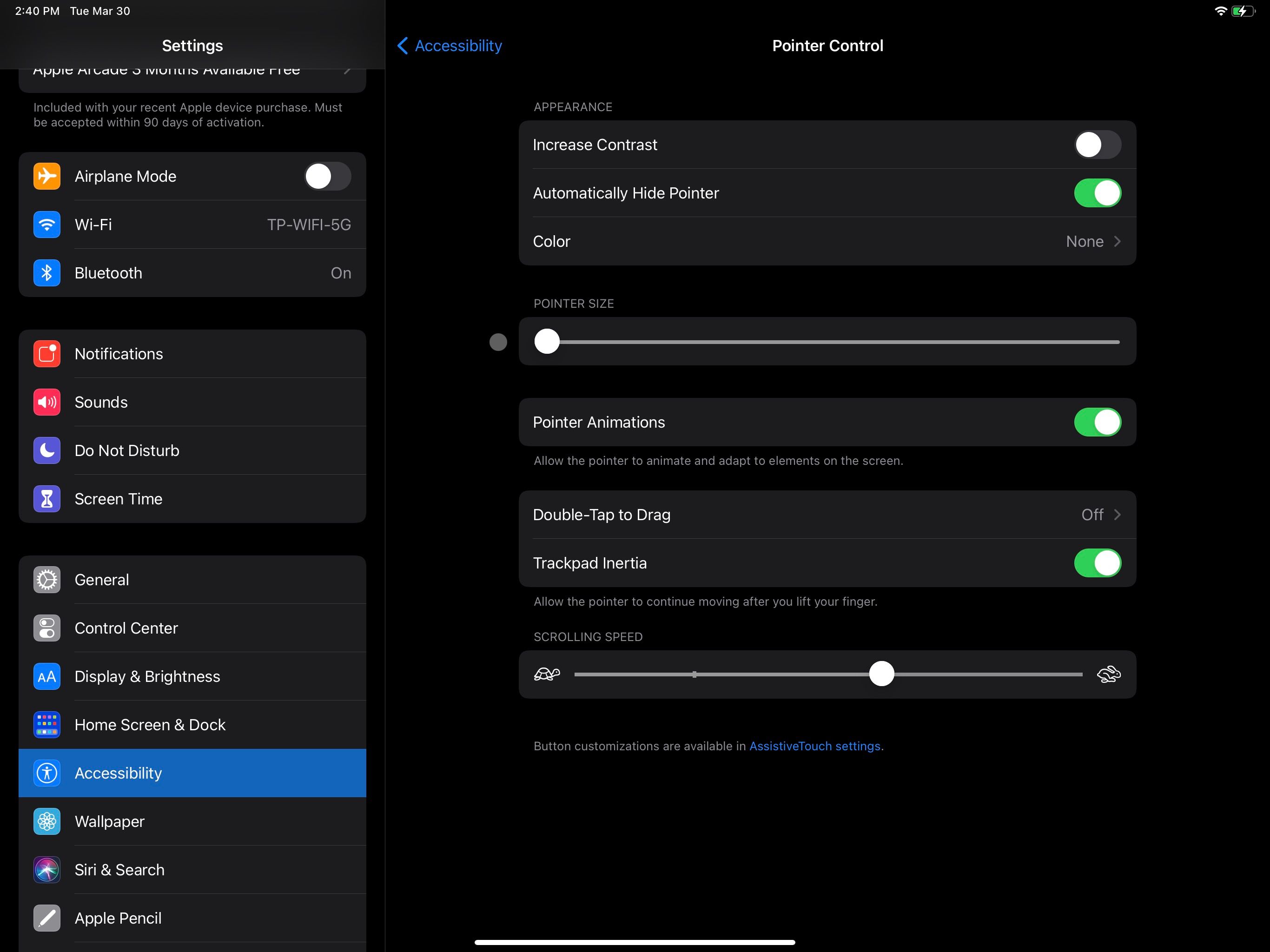 pointer control settings - Come collegare e utilizzare un trackpad con il tuo iPad