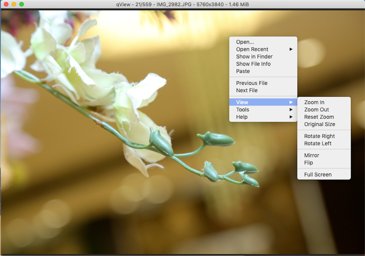 Die 5 besten Mac Image Viewer-Apps mit einzigartigen Funktionen - qView minimal photo viewer