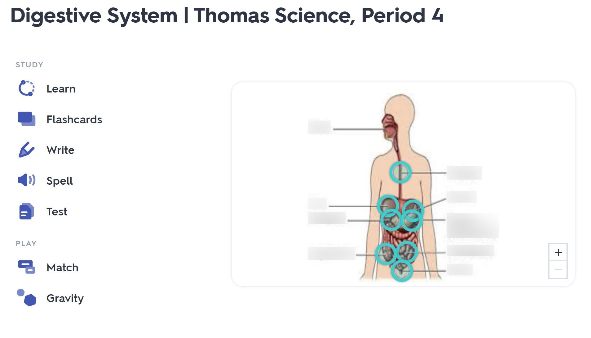 Quizlet flashcard screen on website