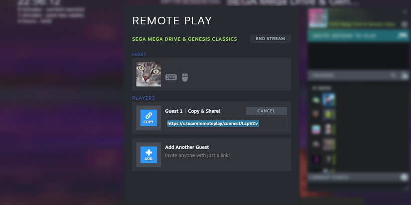 How to Remote Play Together With Anyone on Steam