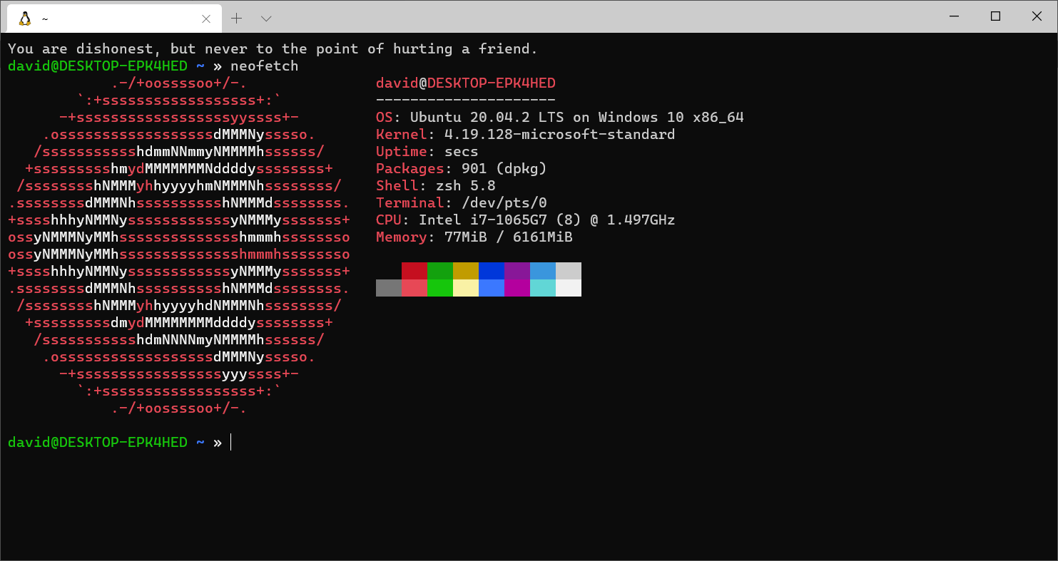 Ubuntu WSL terminal window