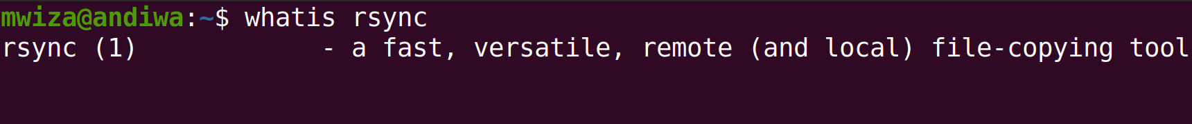 terminal of the whatis command on rsync