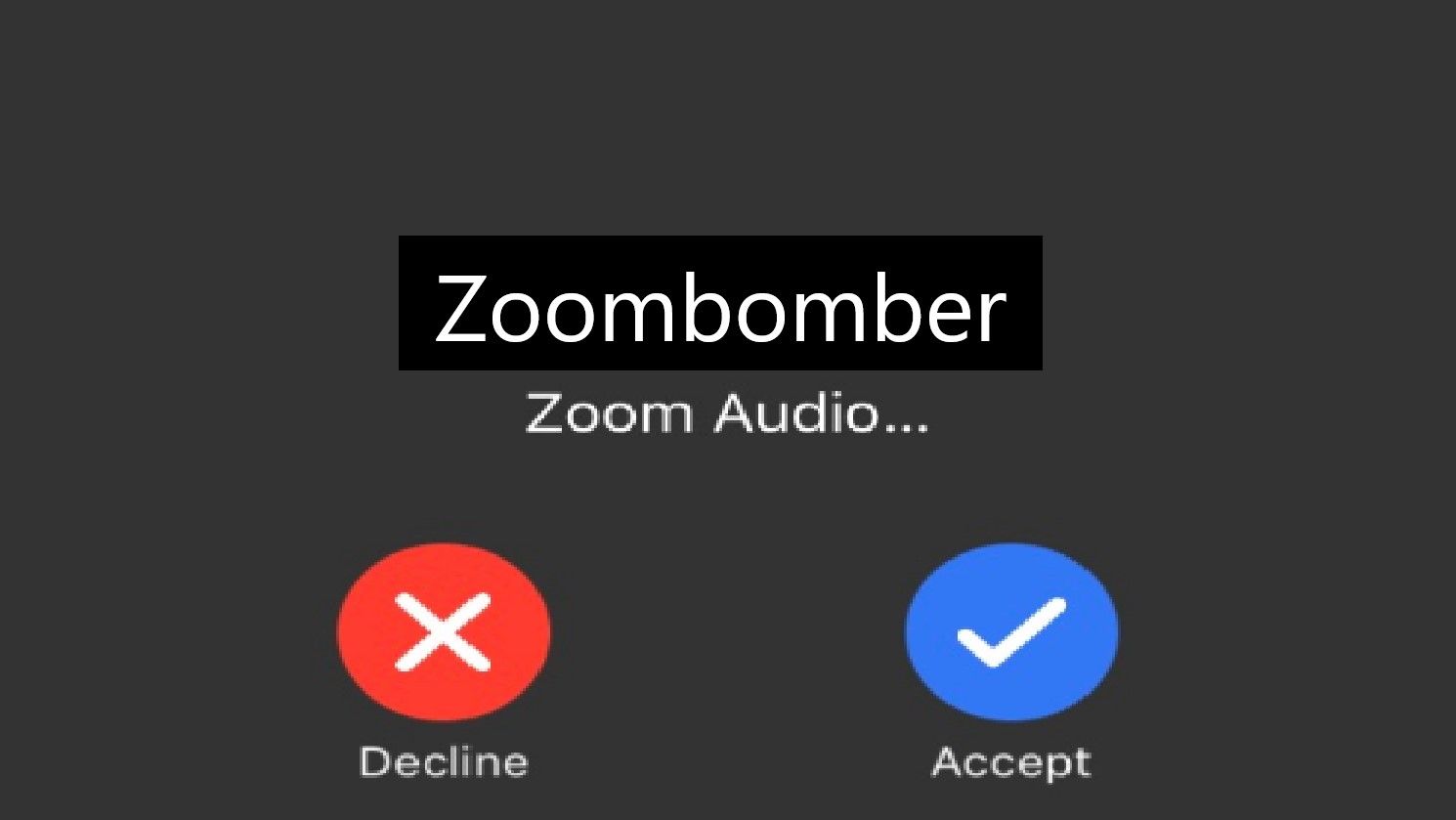 zoom trolling call
