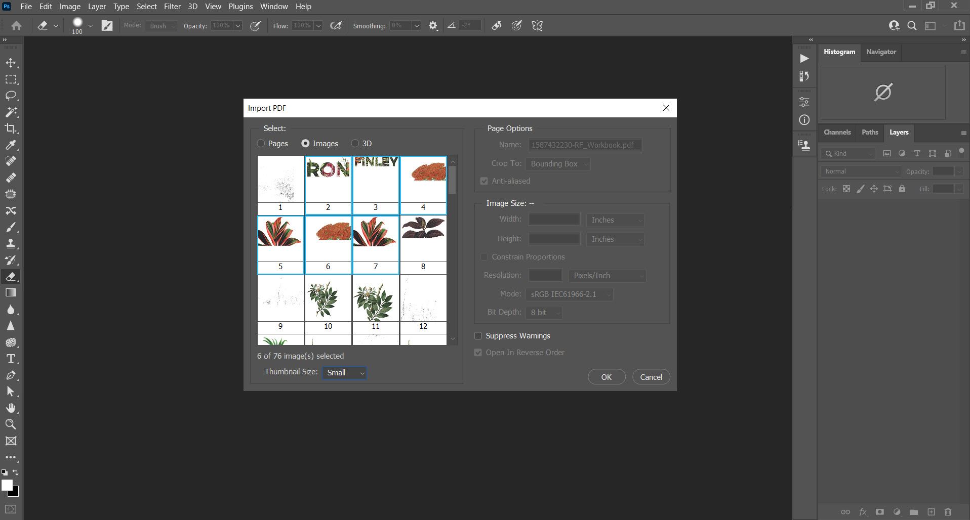 Adobe Photoshop Import PDF - Come estrarre immagini da un PDF e utilizzarle ovunque