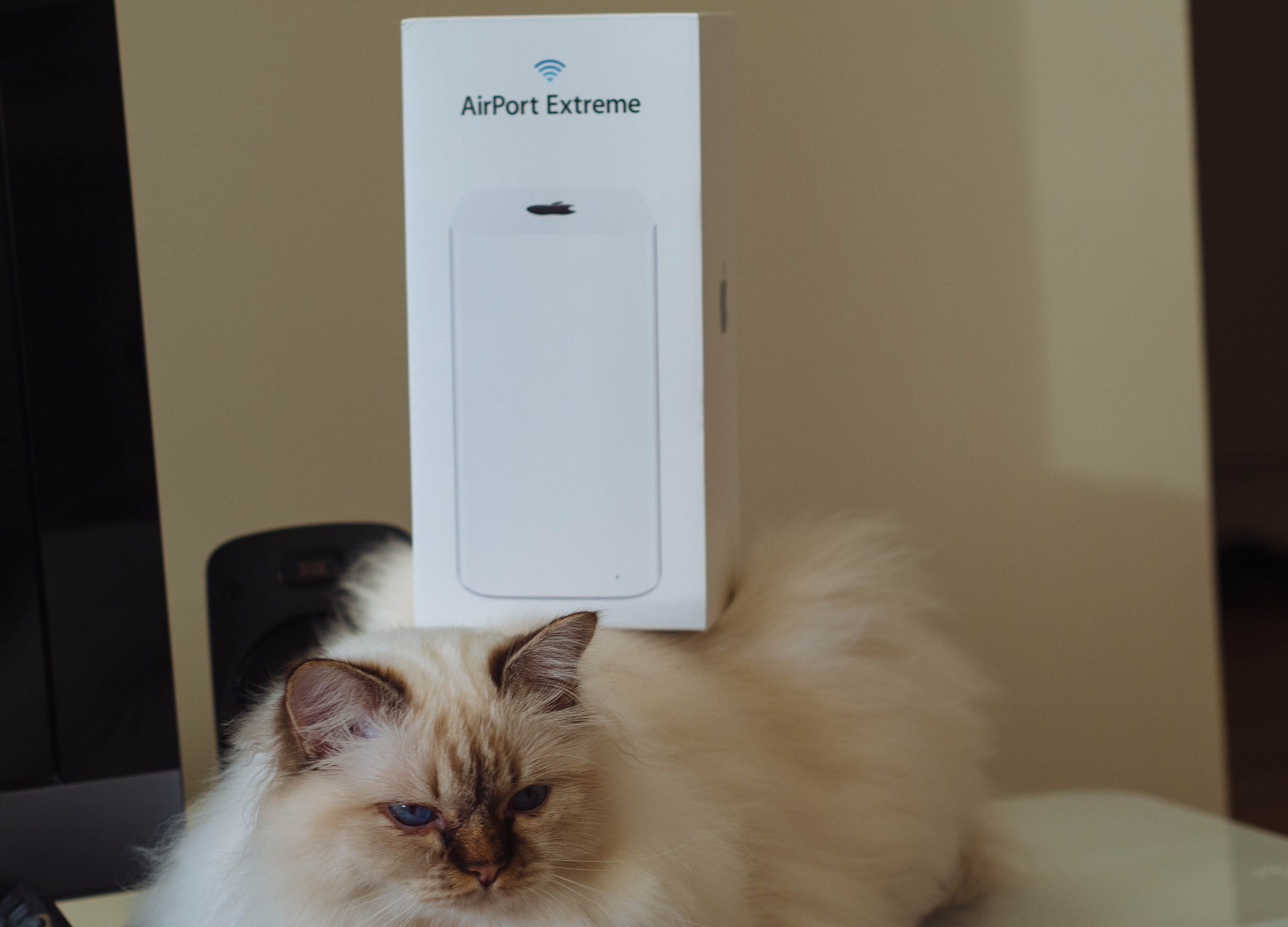 An AirPort Extreme tower model box sits on top of a cat, which sits on a table