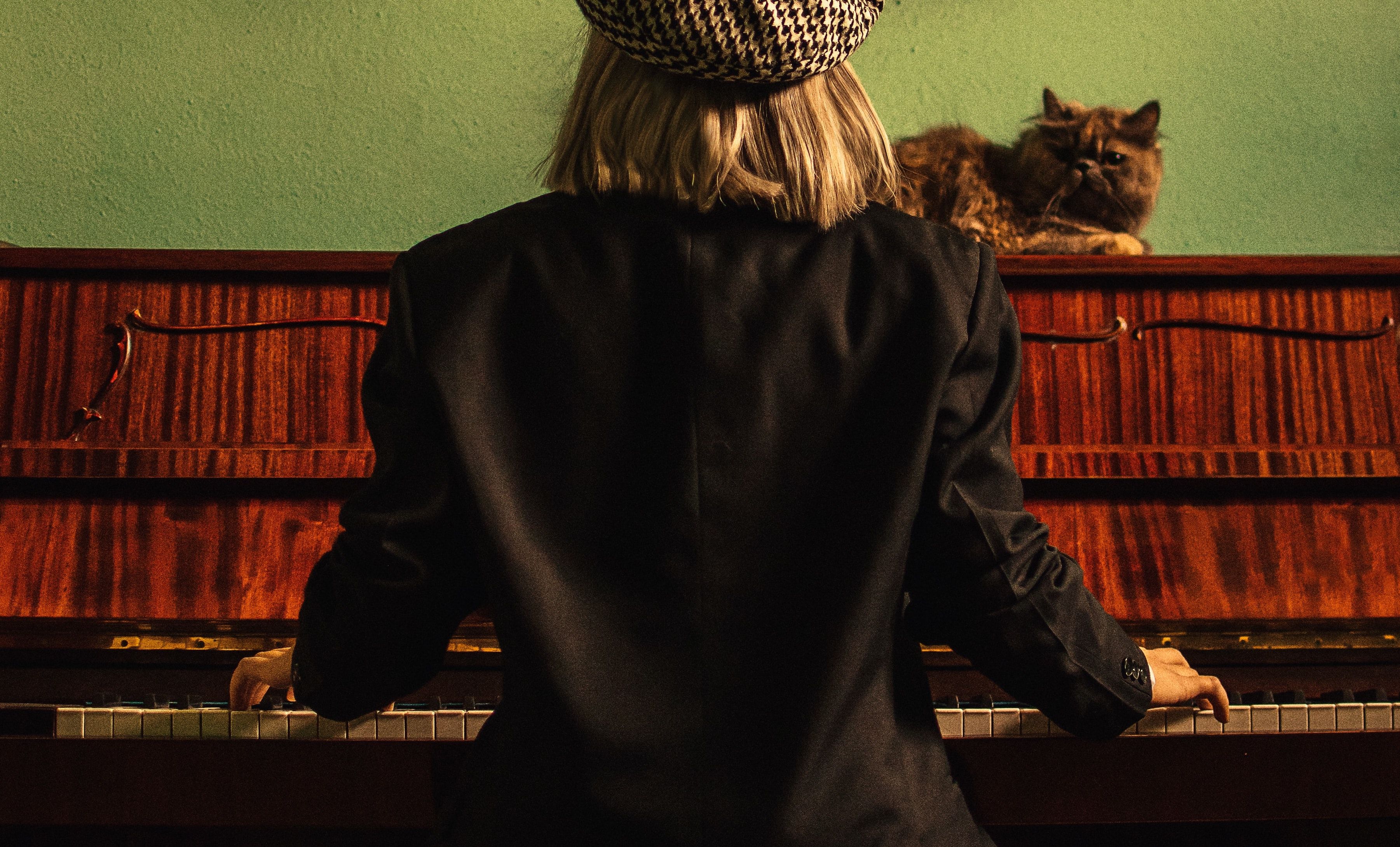 Cat on Top of Piano