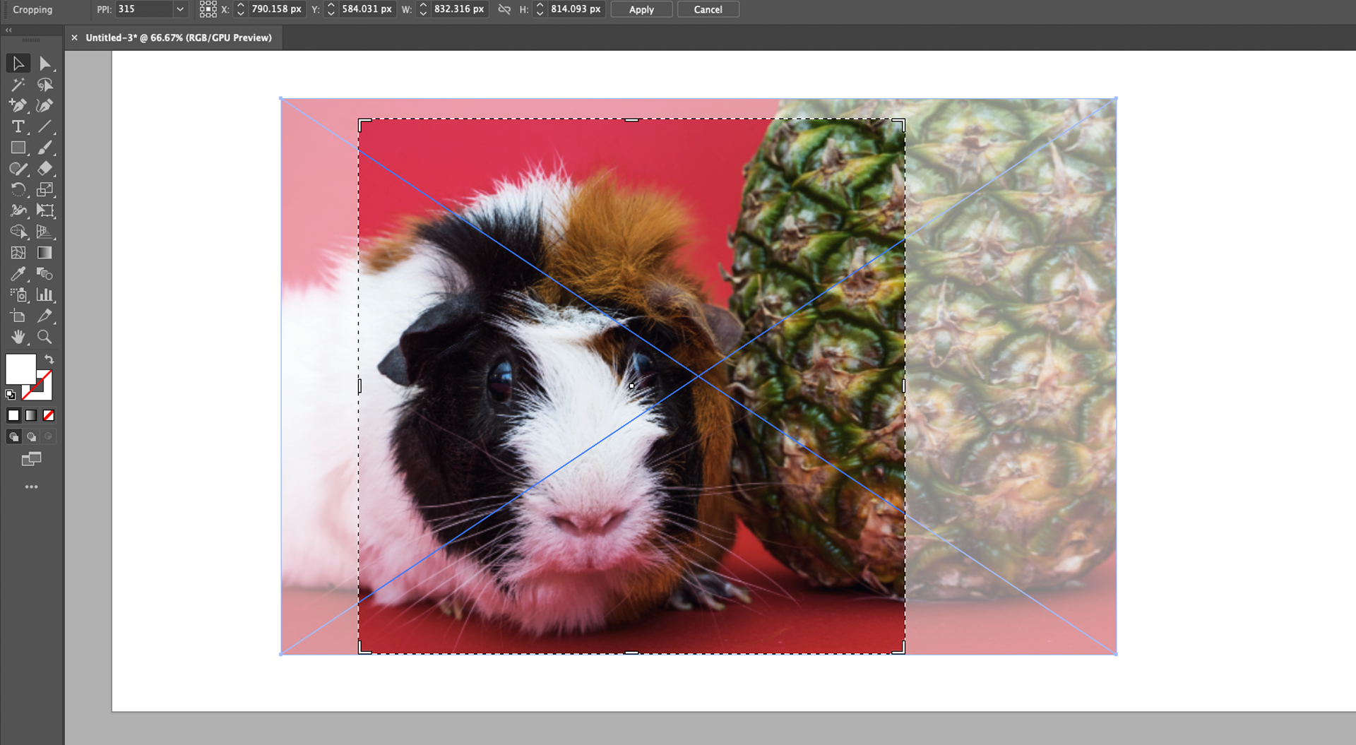 Cropping image in Illustrator using crop image