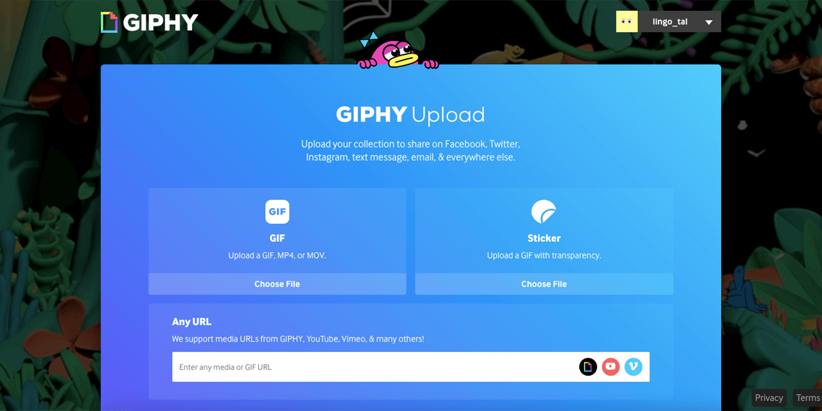 So erstellen Sie ein GIF aus einem Video: 2 einfache Methoden - GIPHY upload