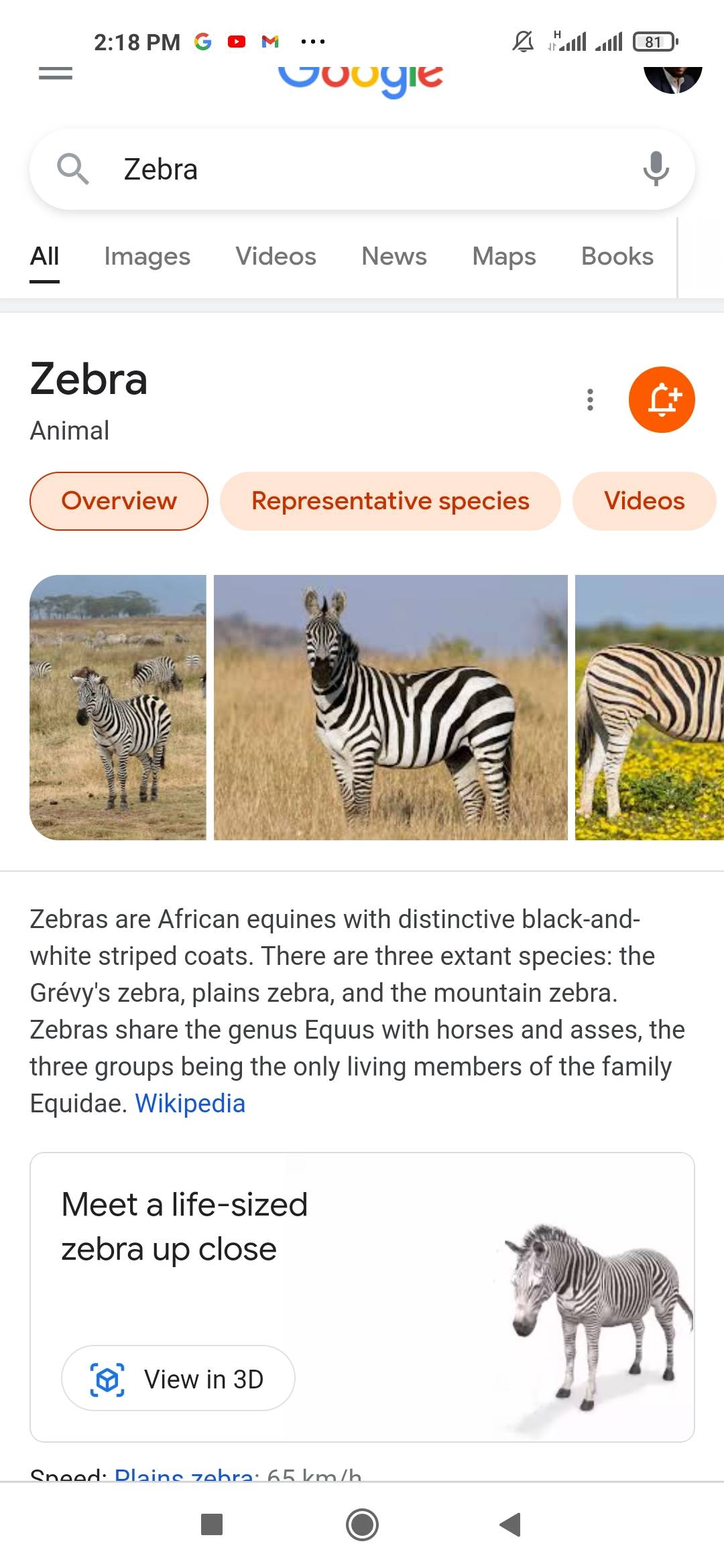 Google 3d Animals How To See Dog Tiger Duck Birds In Your Living Room On Android Ios Apps News India Tv