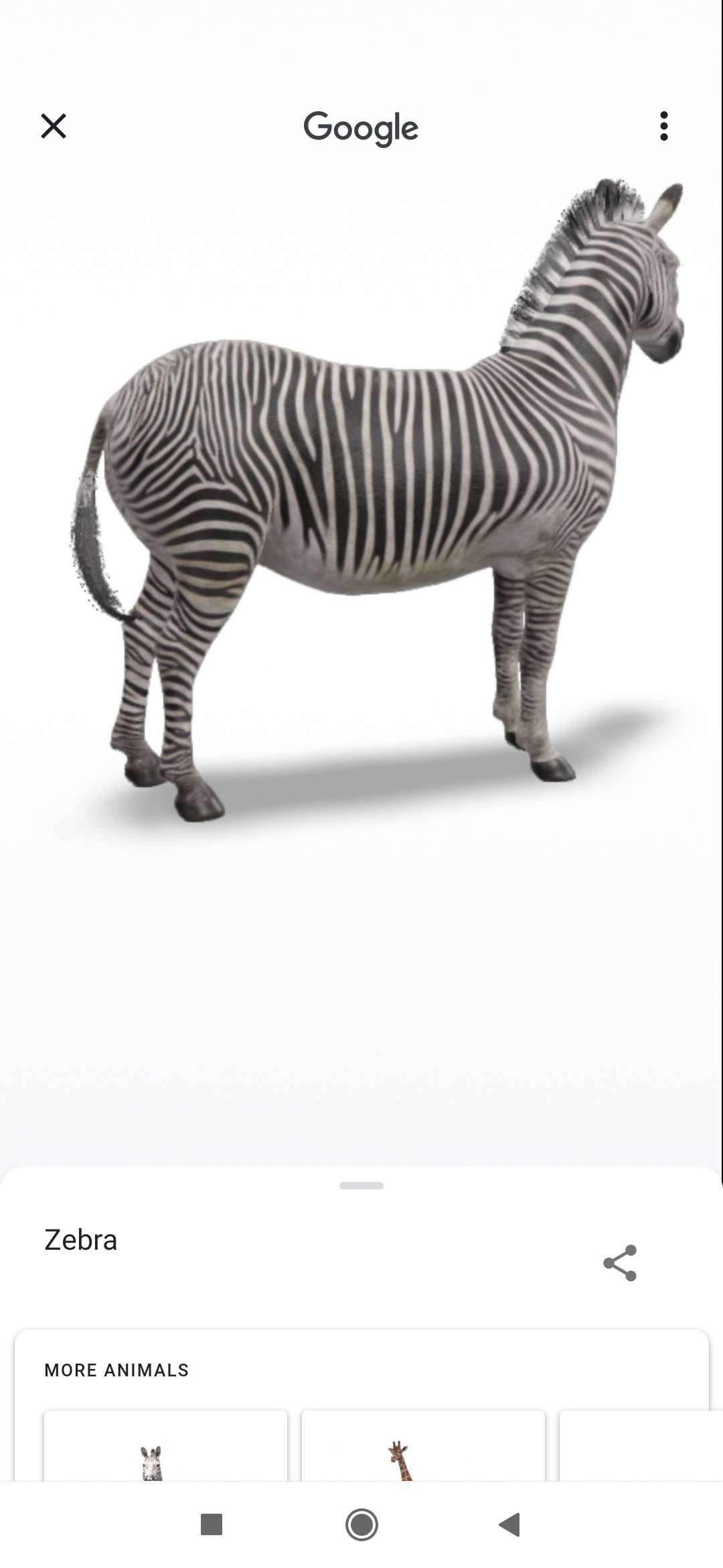 Google 3d Animals How To See Dog Tiger Duck Birds In Your Living Room On Android Ios Apps News India Tv