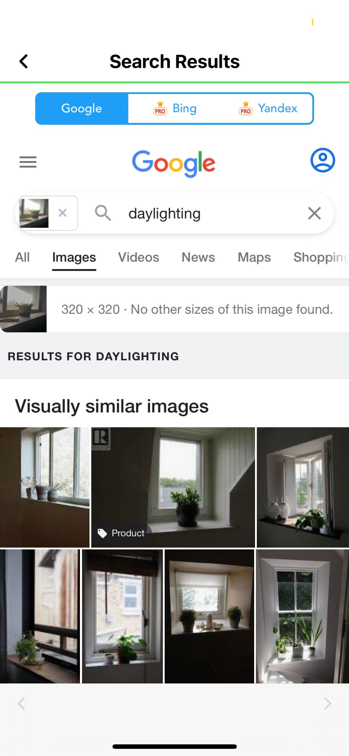 Reverse Image Search House Plant Results