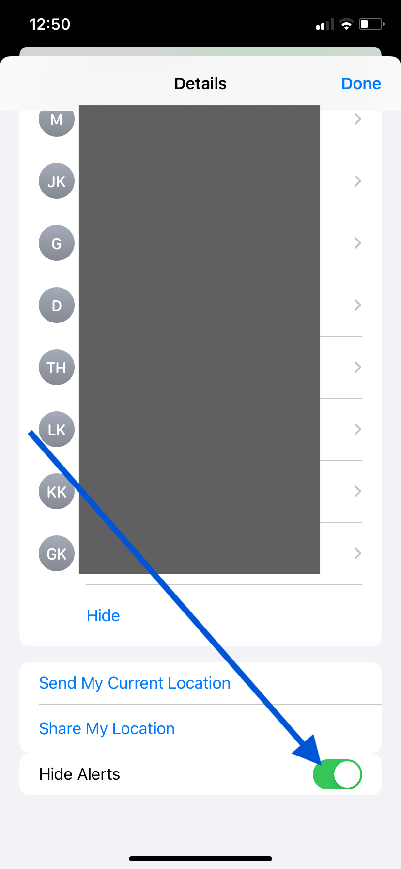 The info menu in an SMS group chat on an iPhone. An arrow points to the Hide Alerts switch
