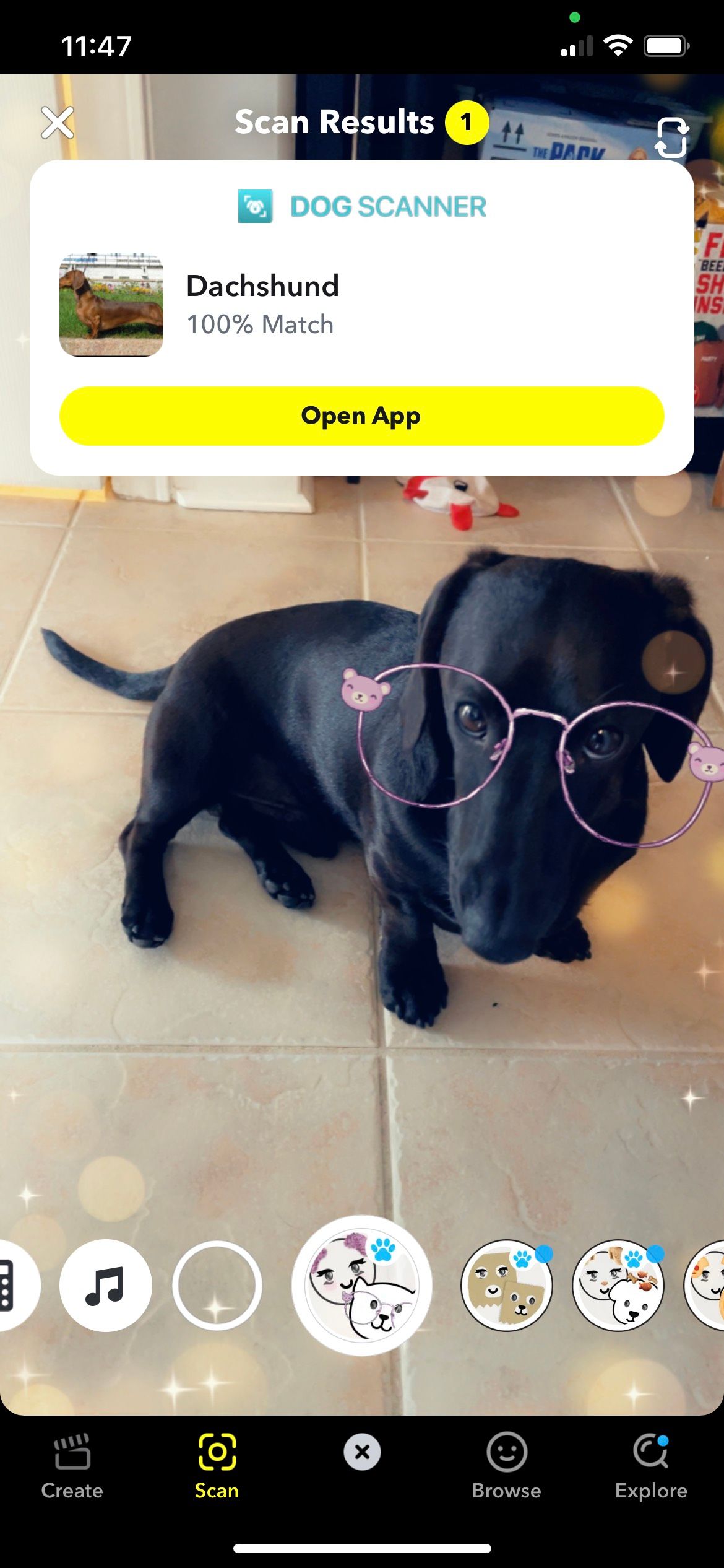 Black Weiner Dog with Glasses Snapchat