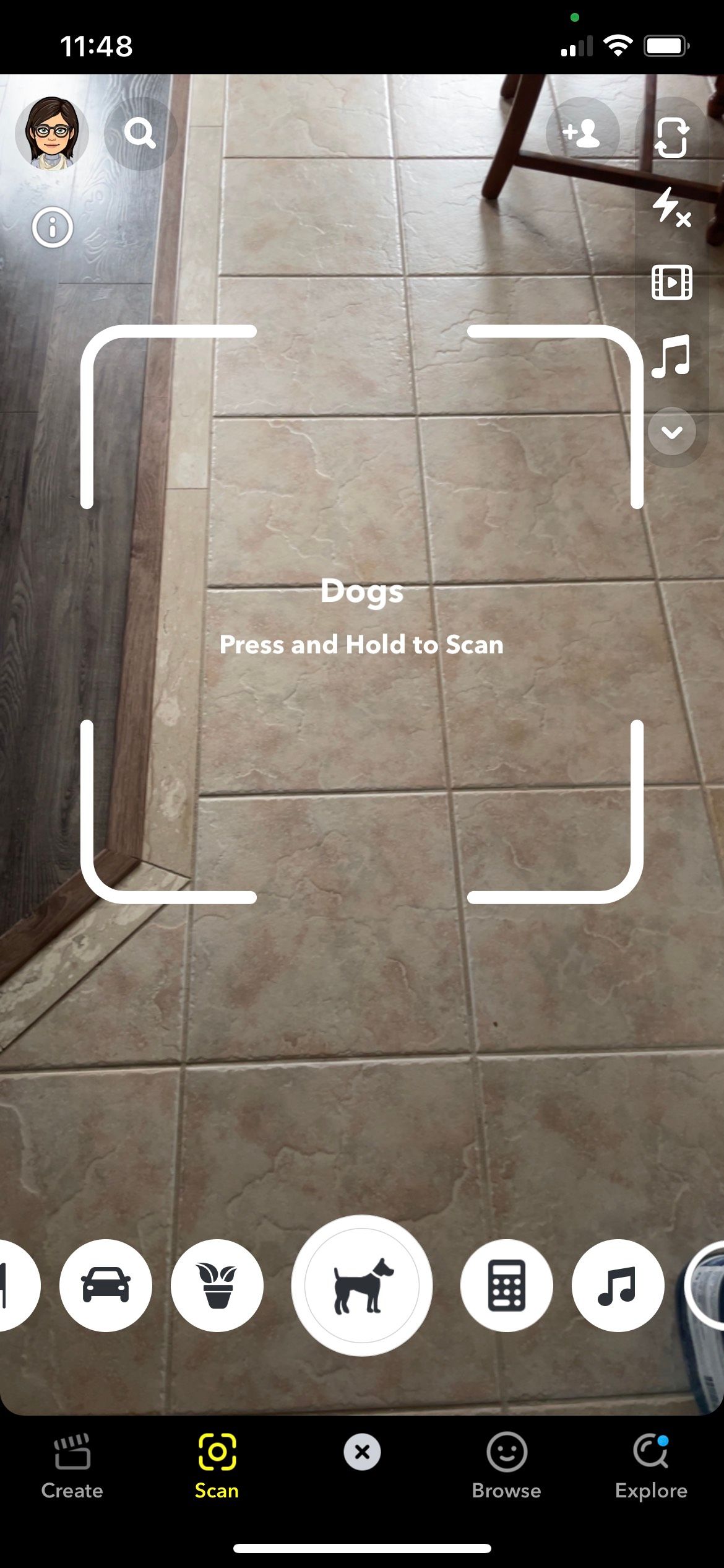 Snapchat Empty Tile Dog Scanner Display