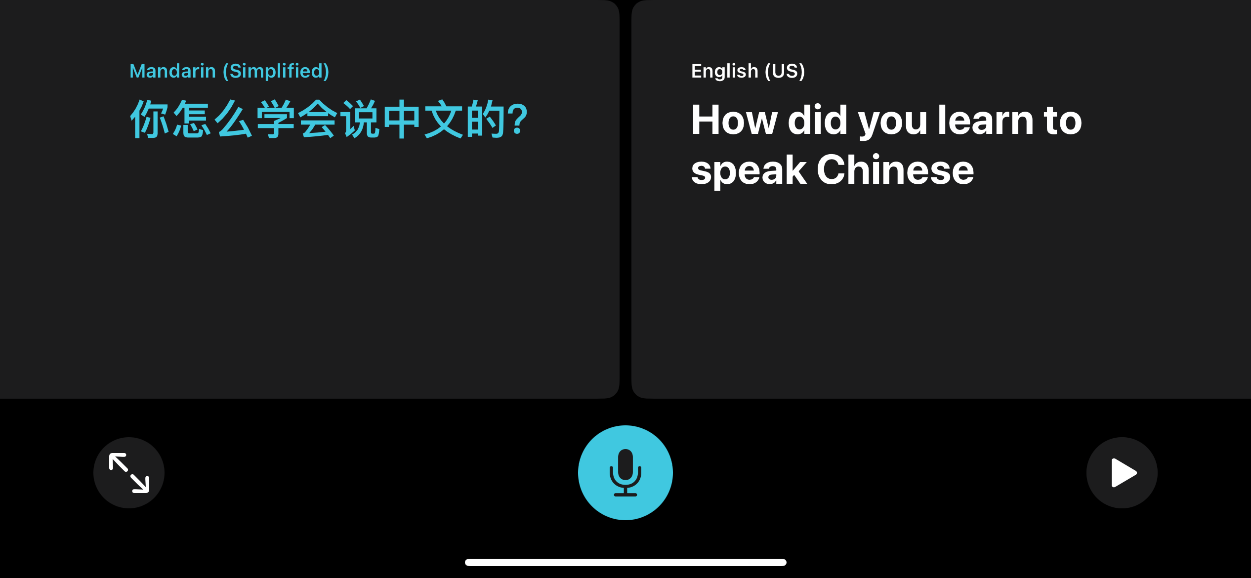 Translate App in Landscape Translating Mandarin to English