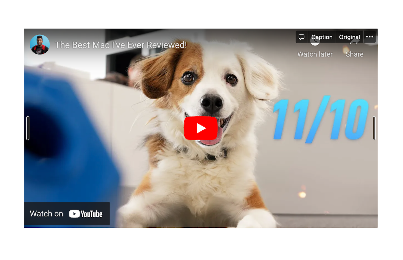 A YouTube video of a dog embedded into Notion