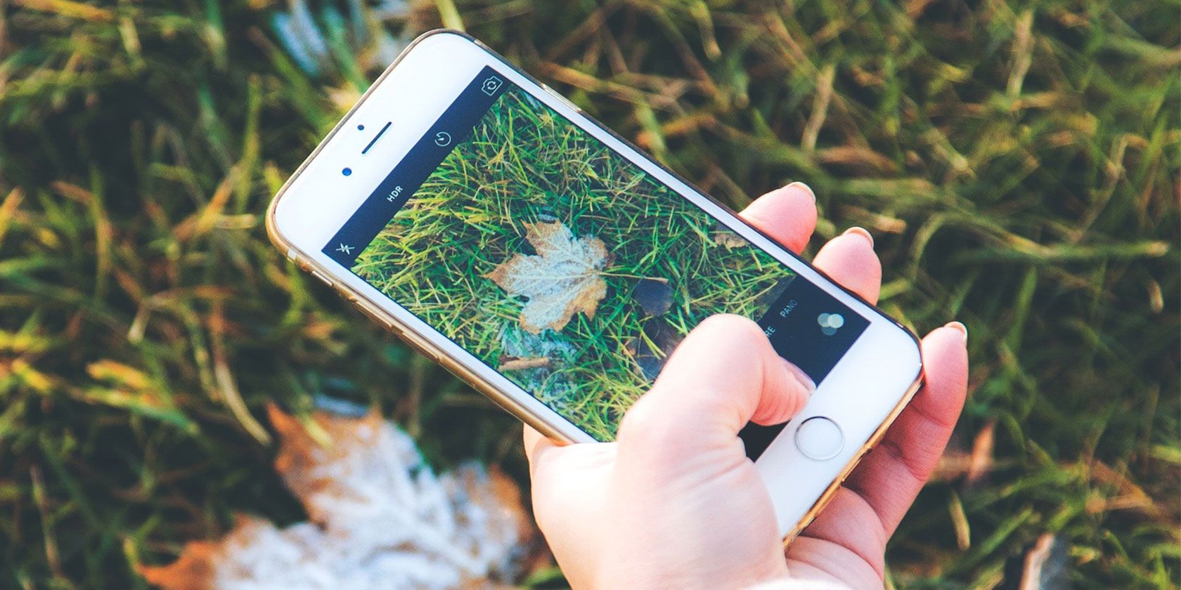 2 Easy Ways to Combine Photos on an iPhone